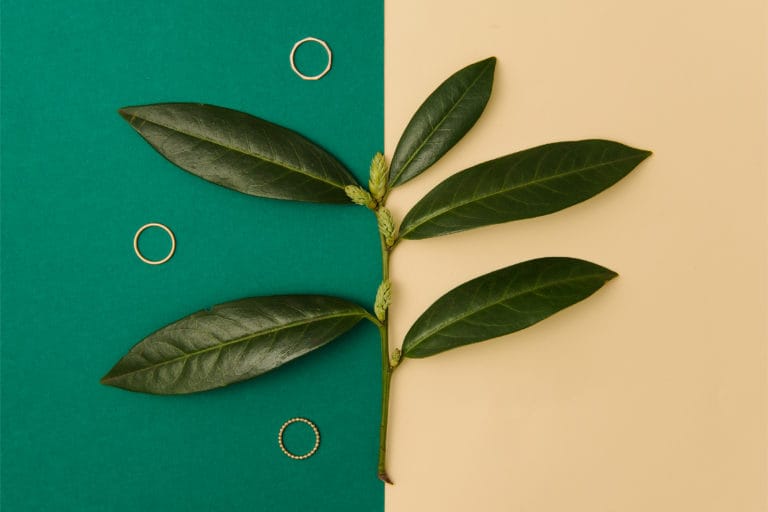 AS_Repro_Mockup_a_2_web